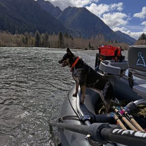 Guided Scenic Floats